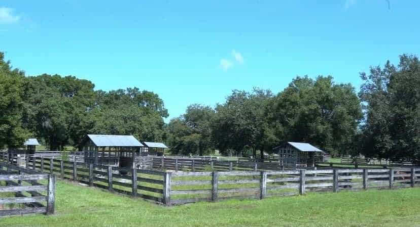 Picture of undefined, number 15