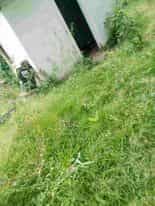 Picture of undefined, number 9