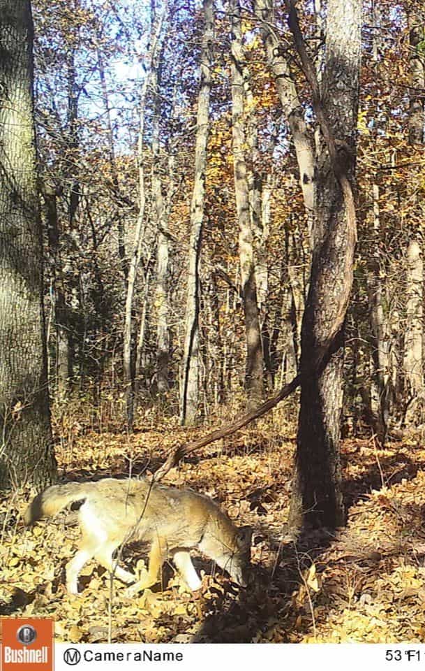 Picture of undefined, number 3