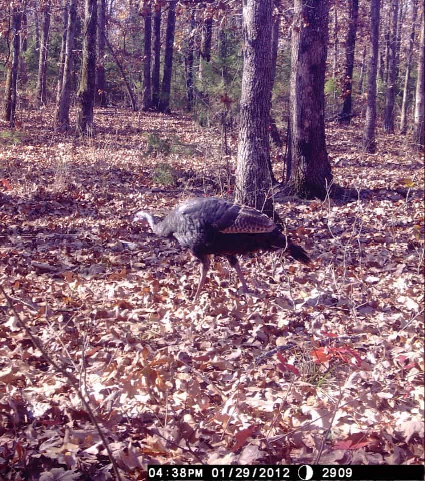 Picture of undefined, number 4