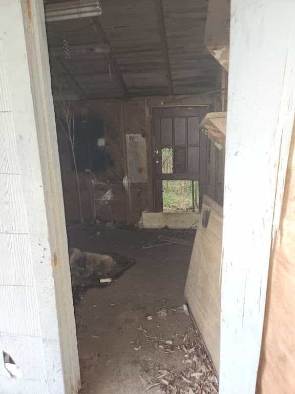 Picture of undefined, number 11