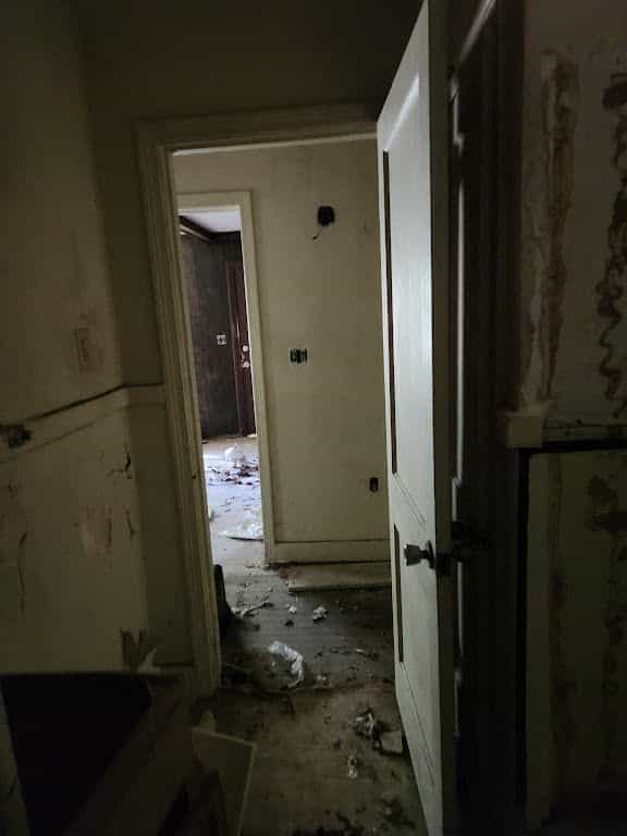 Picture of undefined, number 52
