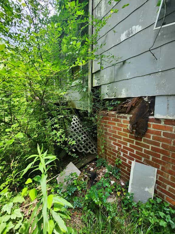Picture of undefined, number 8