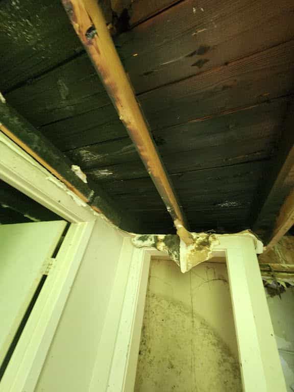 Picture of undefined, number 44