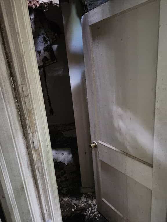 Picture of undefined, number 22