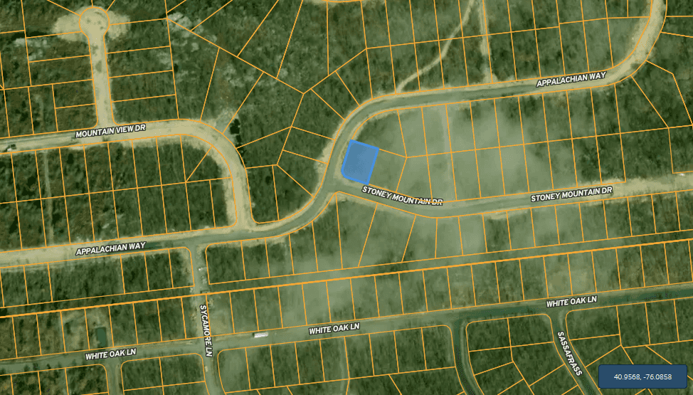 Picture of undefined, number 2