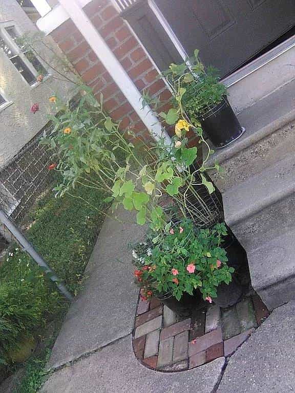 Picture of undefined, number 85
