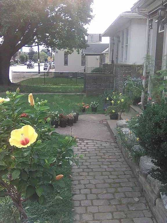 Picture of undefined, number 29