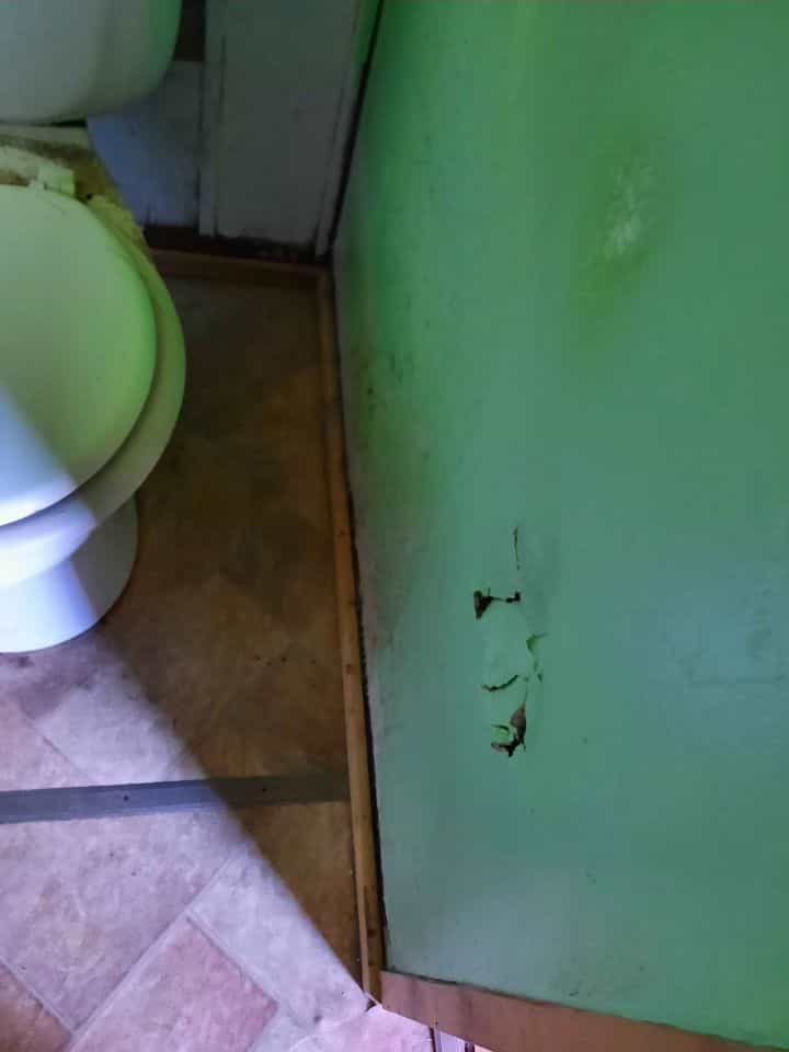 Picture of undefined, number 11