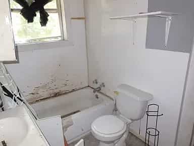 Picture of undefined, number 6