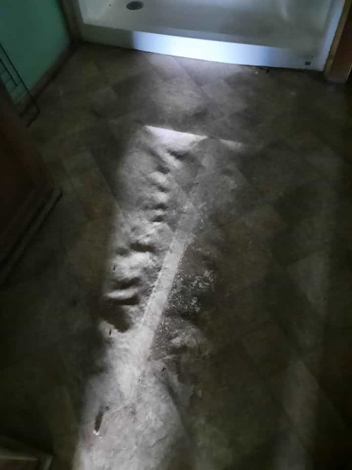 Picture of undefined, number 13