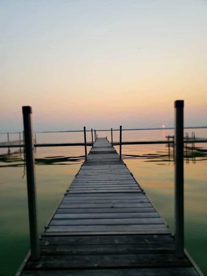 Picture of undefined, number 8