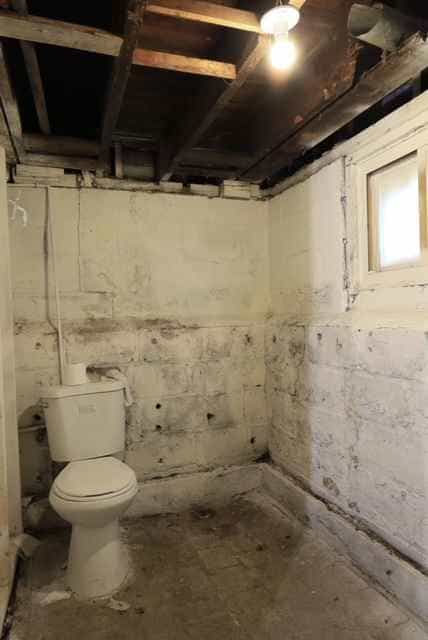 Picture of undefined, number 2