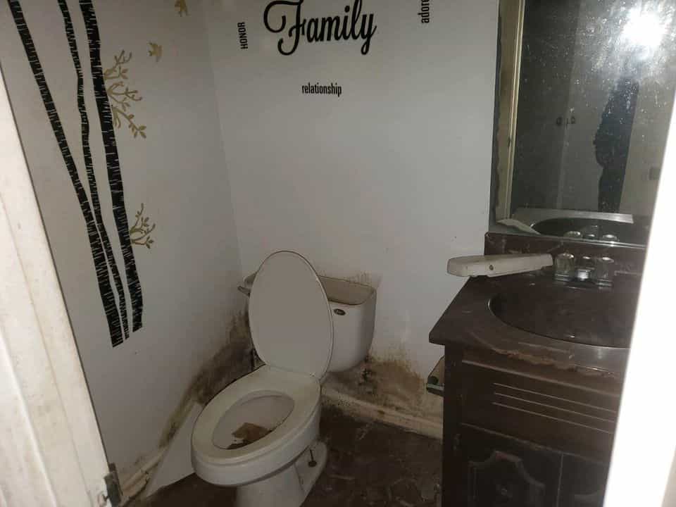Picture of undefined, number 1