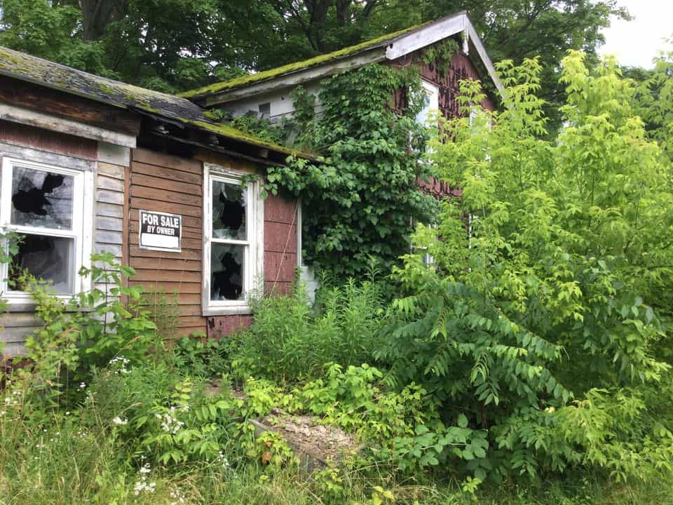 Picture of undefined, number 6
