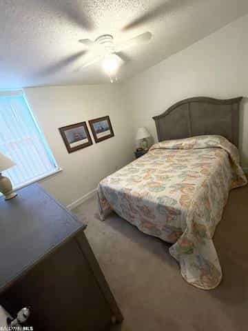 Picture of undefined, number 16