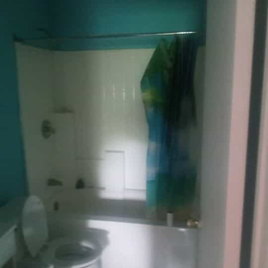 Picture of undefined, number 4