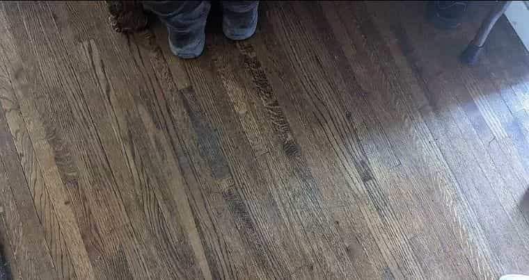 Picture of undefined, number 20