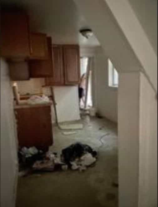 Picture of undefined, number 2