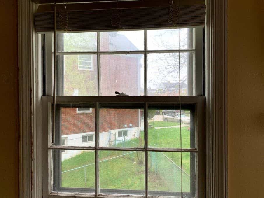 Picture of undefined, number 11