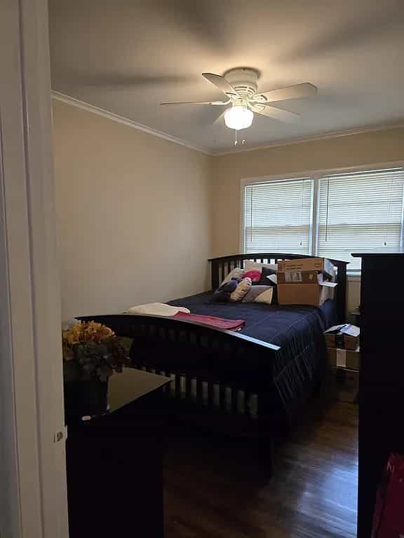 Picture of undefined, number 8