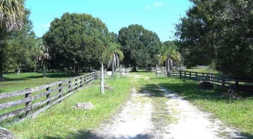 Picture of undefined, number 16