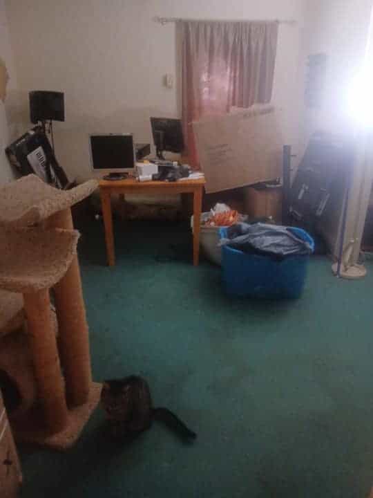 Picture of undefined, number 3