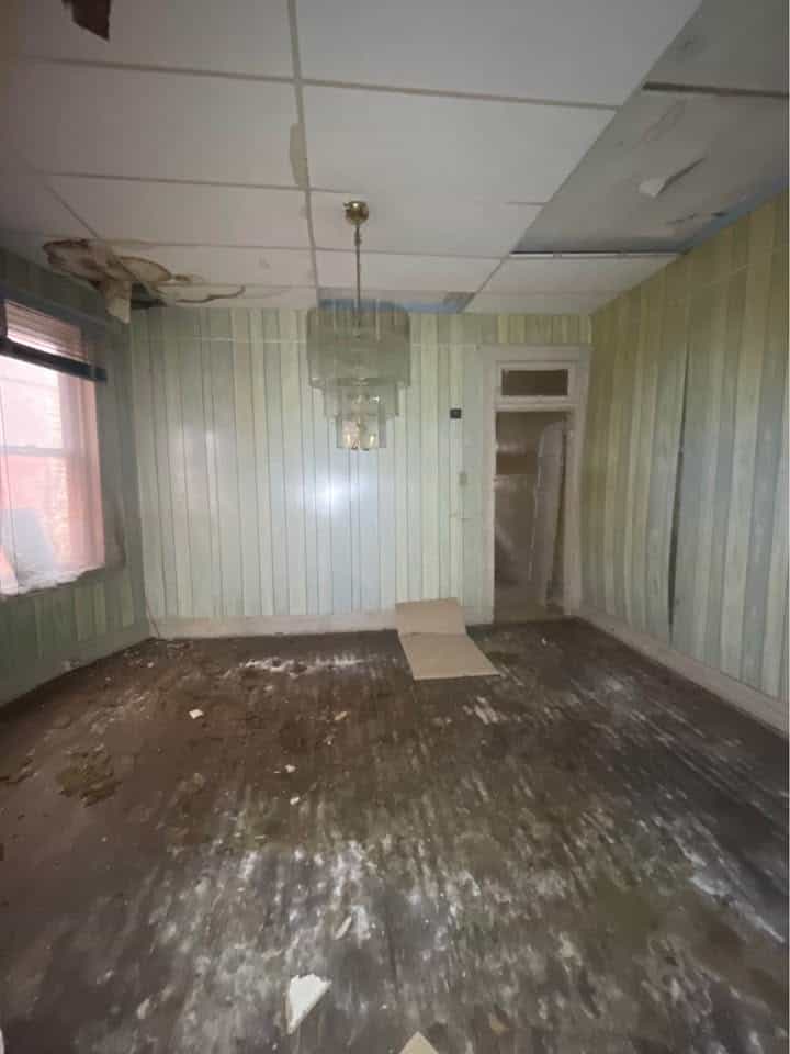 Picture of undefined, number 5
