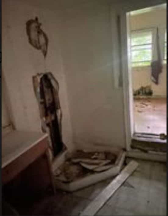 Picture of undefined, number 10