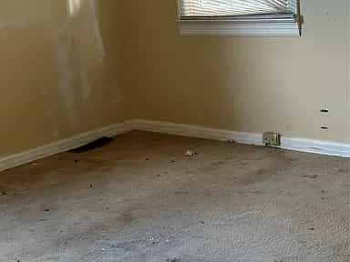 Picture of undefined, number 1