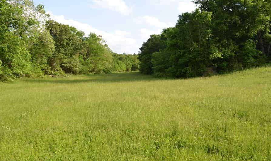 Picture of undefined, number 17