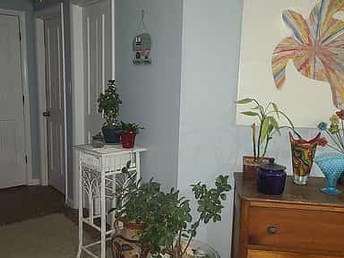 Picture of undefined, number 16