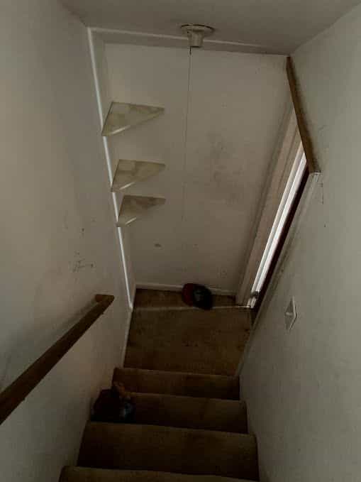 Picture of undefined, number 22