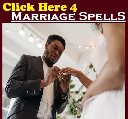 Picture of undefined, number 3