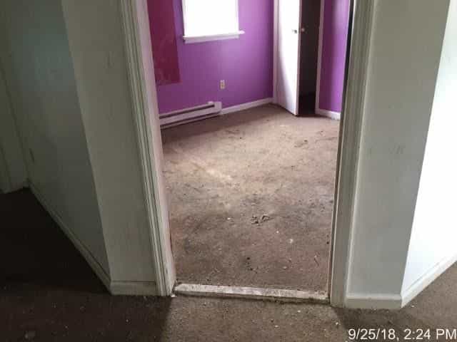 Picture of undefined, number 5