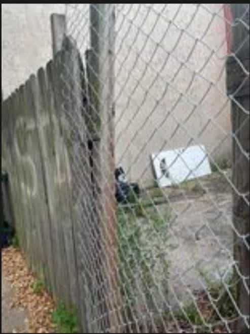 Picture of undefined, number 18