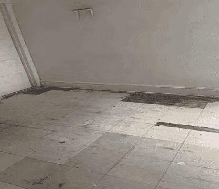 Picture of undefined, number 10