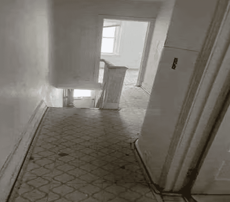 Picture of undefined, number 12