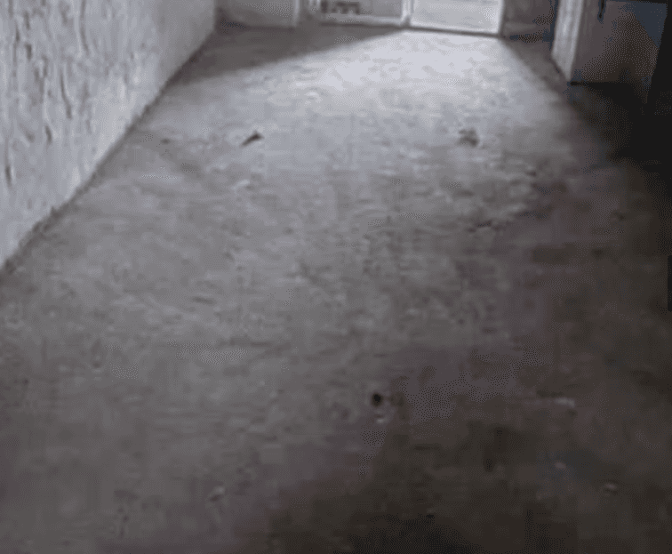 Picture of undefined, number 15
