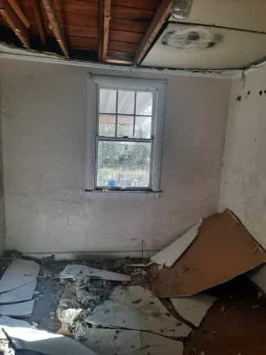 Picture of undefined, number 11