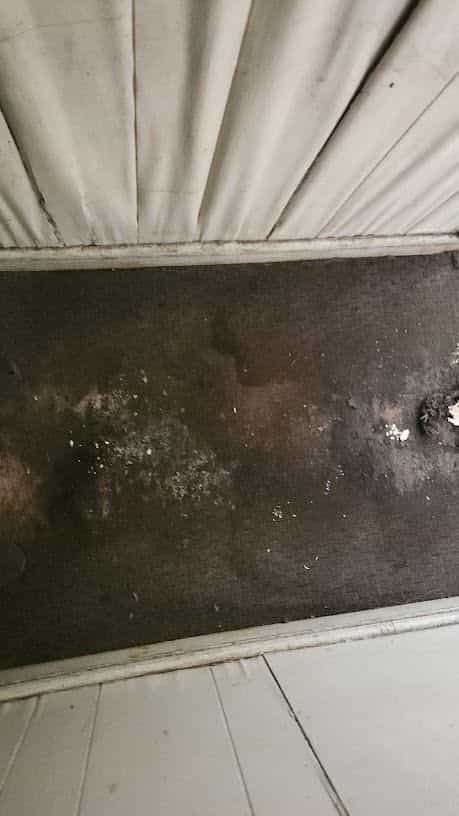 Picture of undefined, number 8