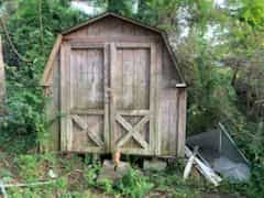 Picture of undefined, number 16