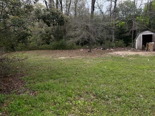 Picture of undefined, number 8
