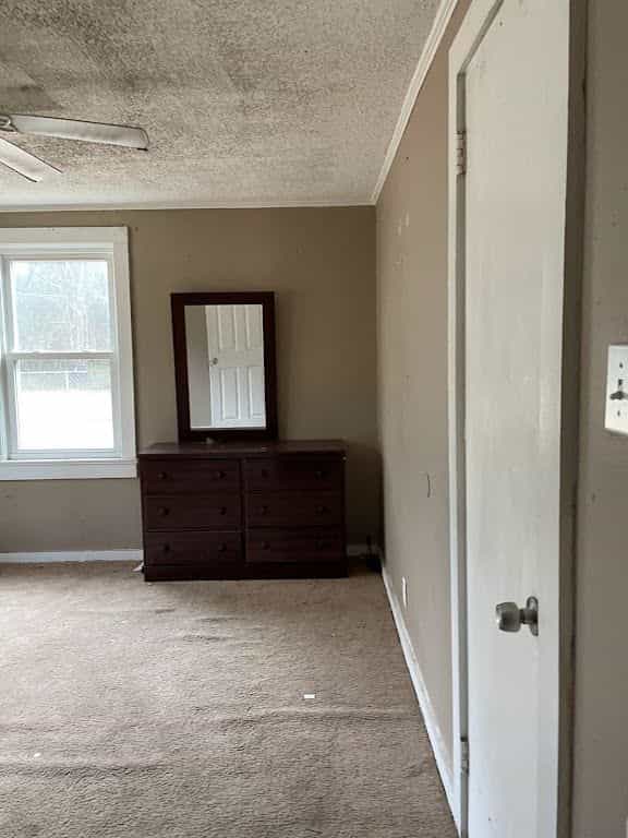 Picture of undefined, number 23