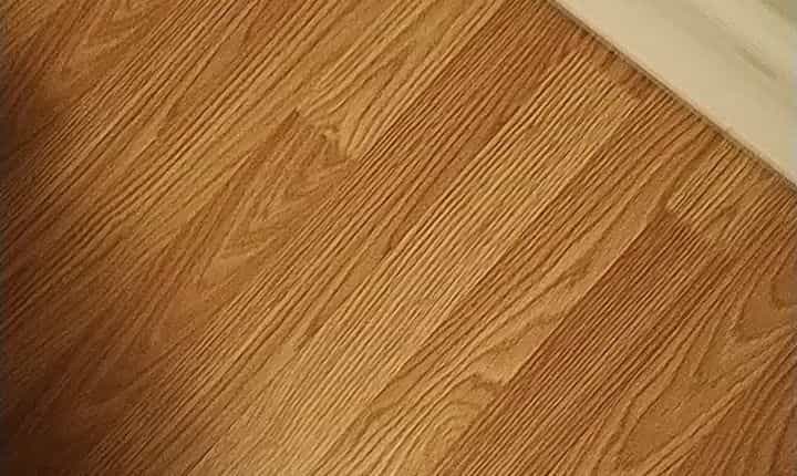 Picture of undefined, number 11