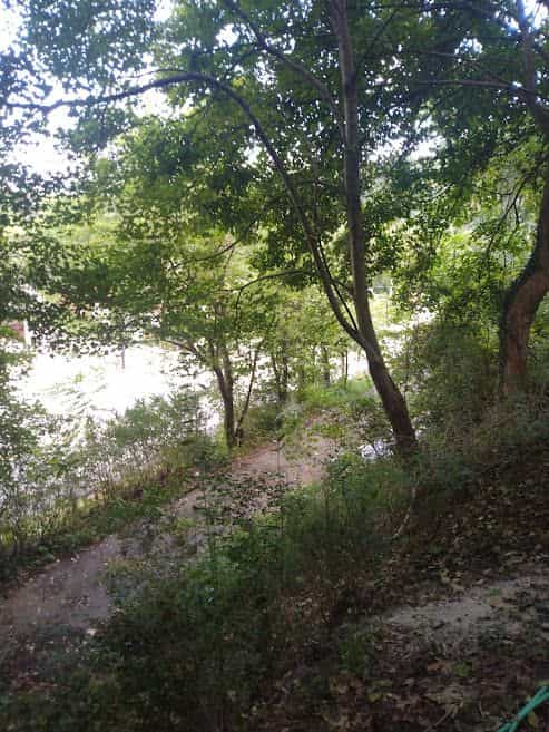 Picture of undefined, number 64
