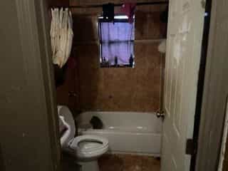 Picture of undefined, number 7