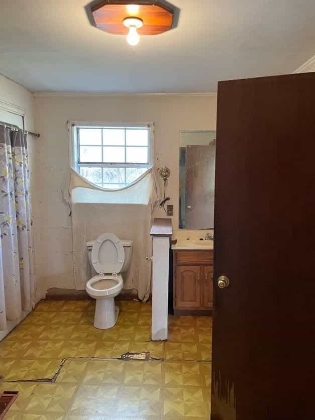 Picture of undefined, number 12