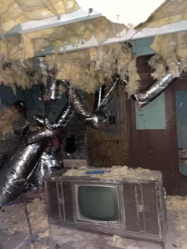 Picture of undefined, number 20