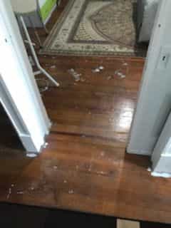 Picture of undefined, number 4